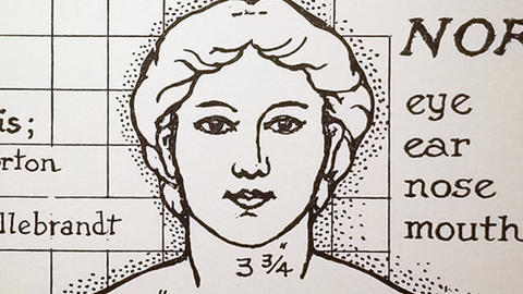 Diagram of "Norma" Figure, Detail